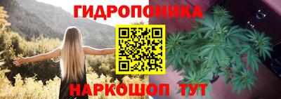 ECSTASY Кулебаки