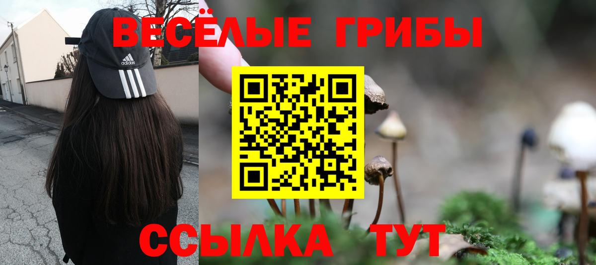 даркнет сайт  Галлюциногенные грибы прущие грибы  Вход с VPN  Гусиноозёрск 